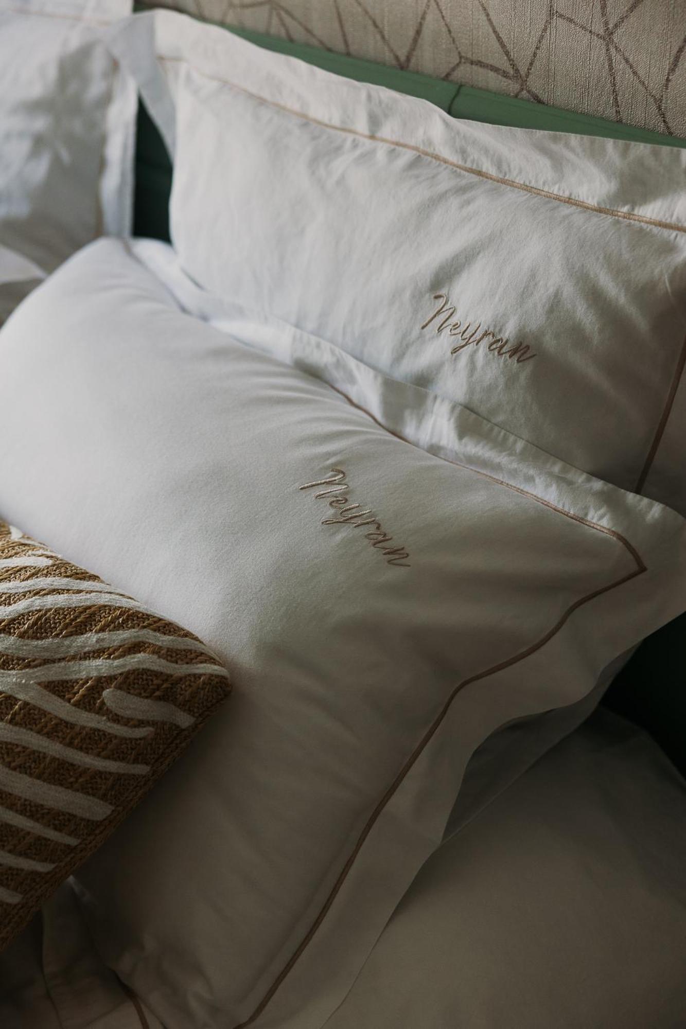 Chateau De Neyran Chambre D'Hotes & Spa 滨海苏拉克 客房 照片
